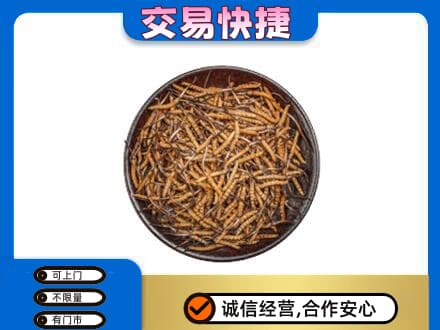 青岛市市北礼品回收虫草.jpg